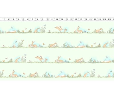 Green Border Stripe by Anita jeram