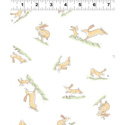 White hopping bunny by Anita jeram