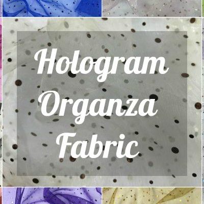 Hologram Organza Fabric