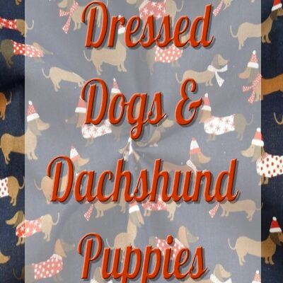 Dressed Dogs Dachshund Puppies