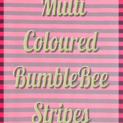 MultiColoured Bumblebee Stripes