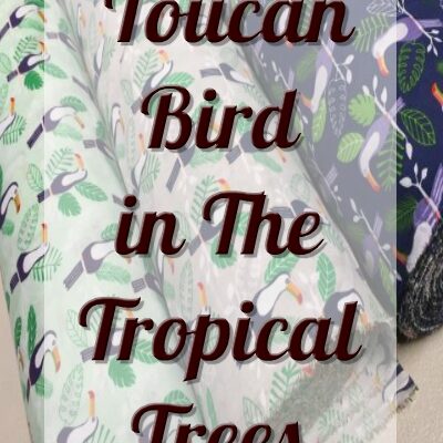 Toucan Bird in The Tropical Trees