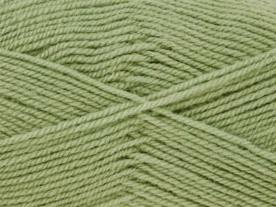 Parsley 100% Acrylic Wool/Yarn Pricewise Double Knitting King Cole - Code (0363025) 100g