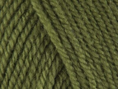 Grass 100% Acrylic Wool/Yarn Pricewise Double Knitting King Cole - Code (036272) 100g